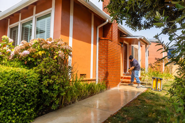 Best Affordable Pressure Washing  in Albion, PA