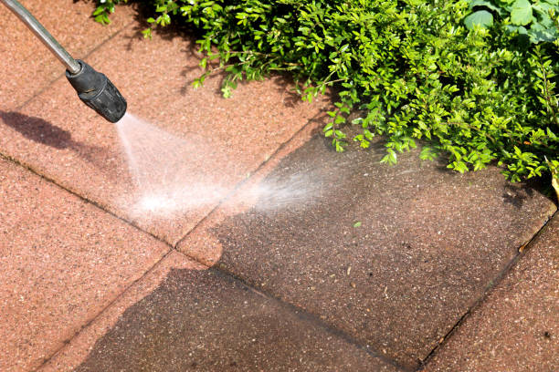 Best Power Washing Near Me  in Albion, PA